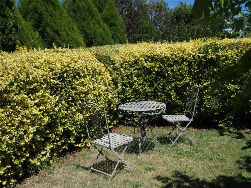 Tahara Cottage image 8